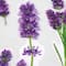 12 Pack: Lavender Dimensional Stickers by Recollections™